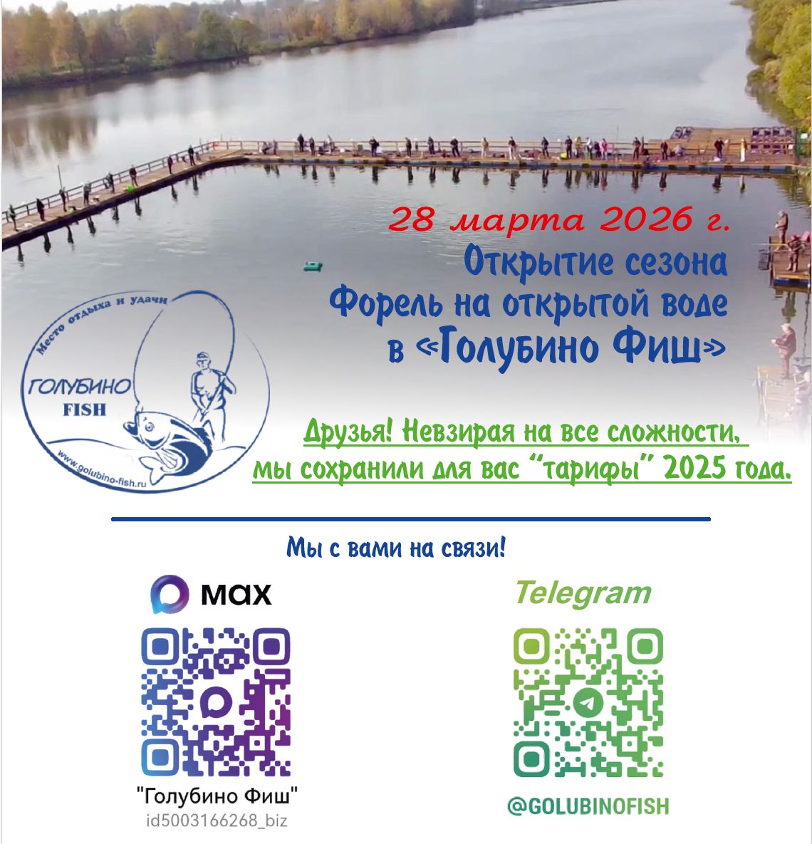 Голубино фиш